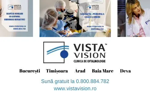 Vista Vision banner 2