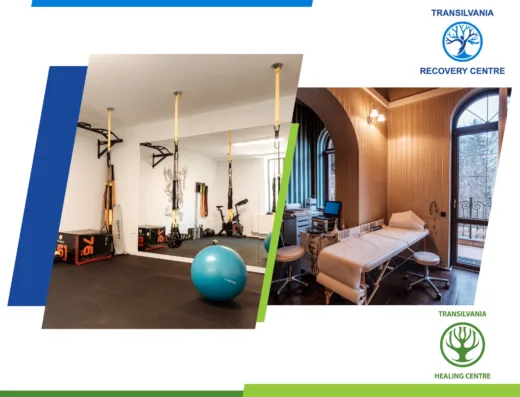 Transilvania Healing Centre banner